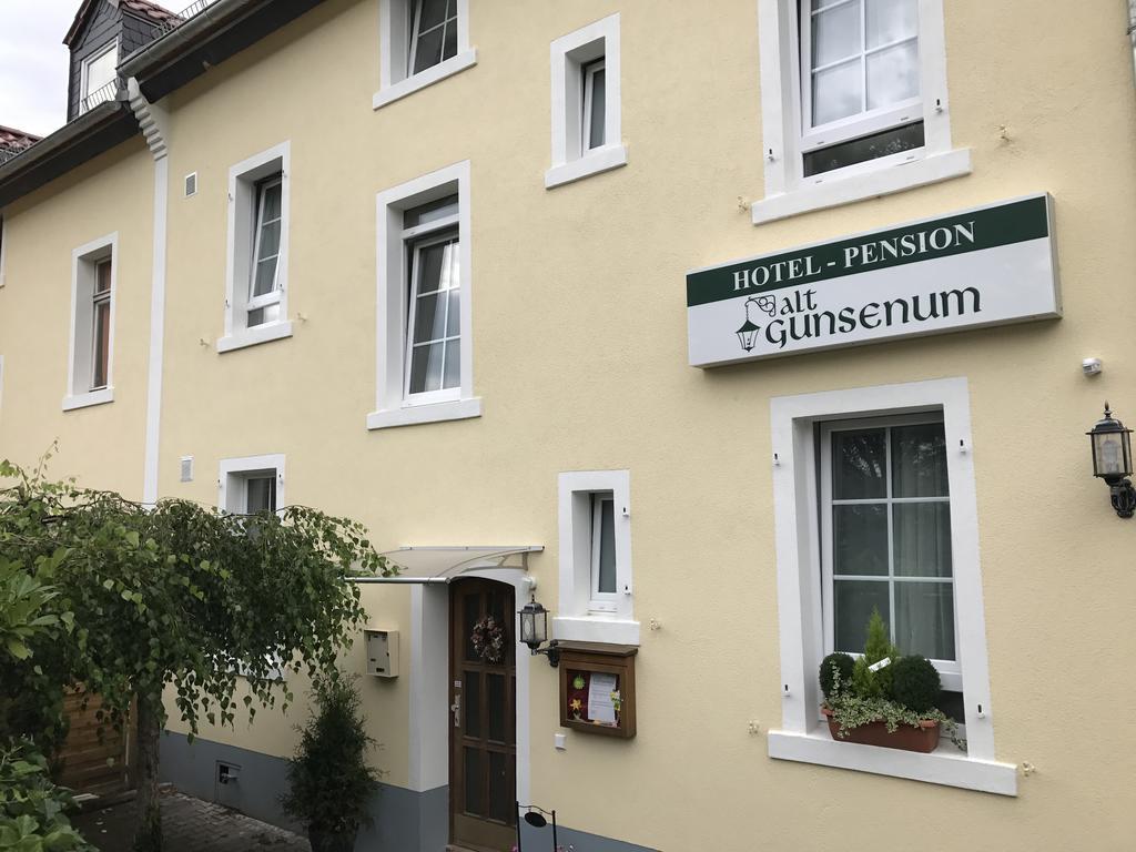 Pension Alt-Gunsenum 美因茨 外观 照片